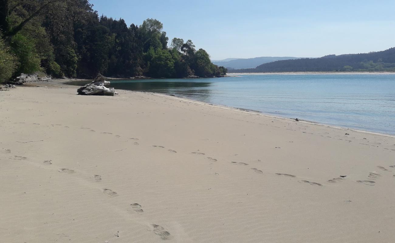 Playa de Figueiras'in fotoğrafı i̇nce bej kum yüzey ile