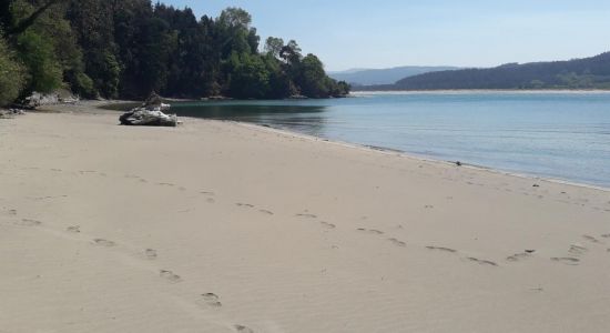 Playa de Figueiras