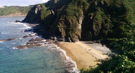 Playa de Viodo