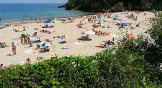 Playa de Toranza