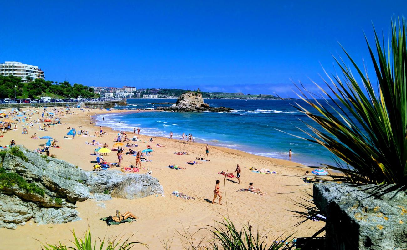 Playa del Camello'in fotoğrafı açık bej kum yüzey ile