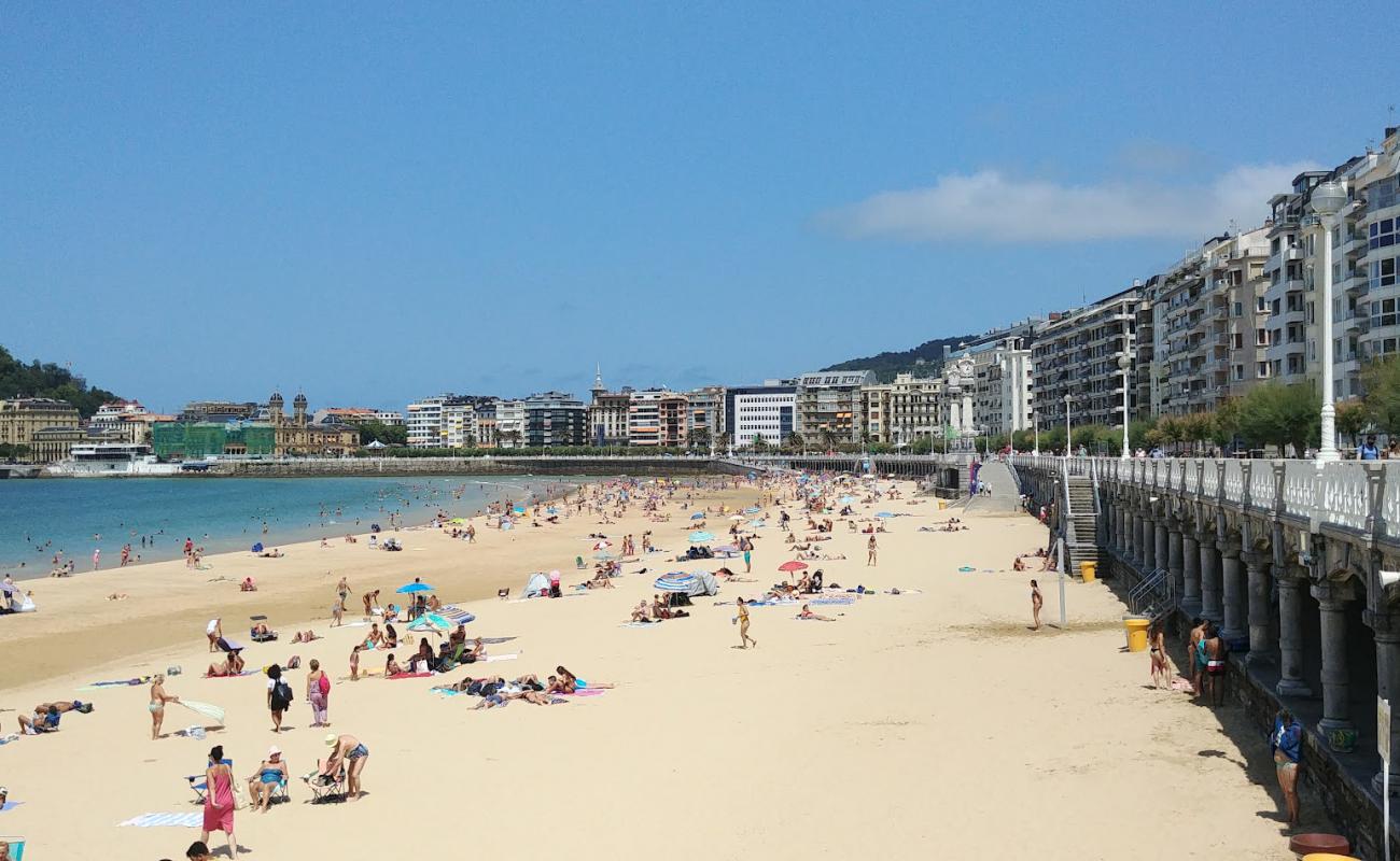 Playa la Concha'in fotoğrafı i̇nce bej kum yüzey ile