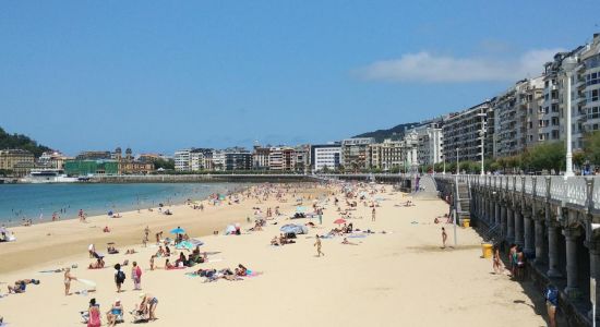 Playa la Concha