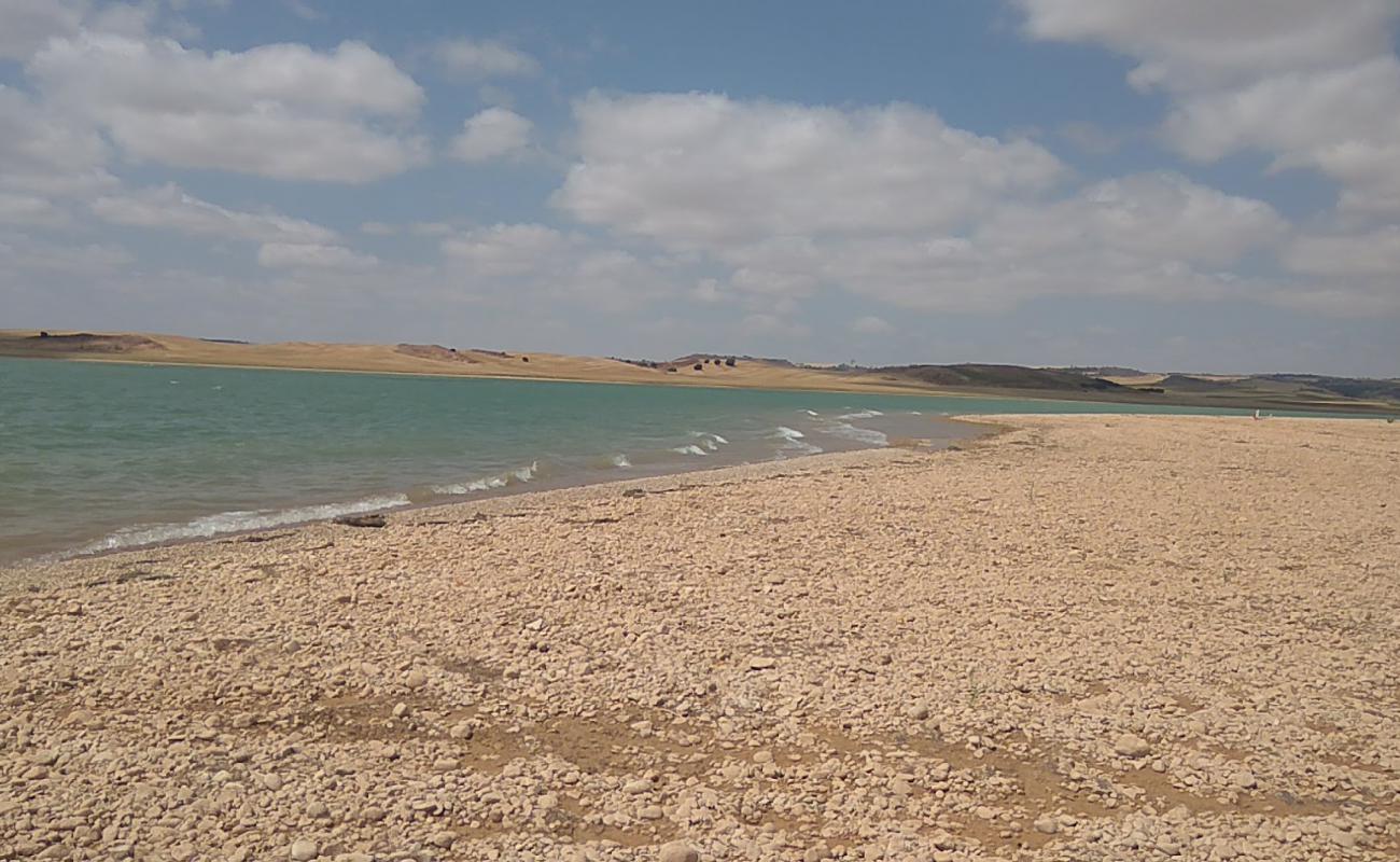 Playa del arbol'in fotoğrafı parlak kum ve kayalar yüzey ile