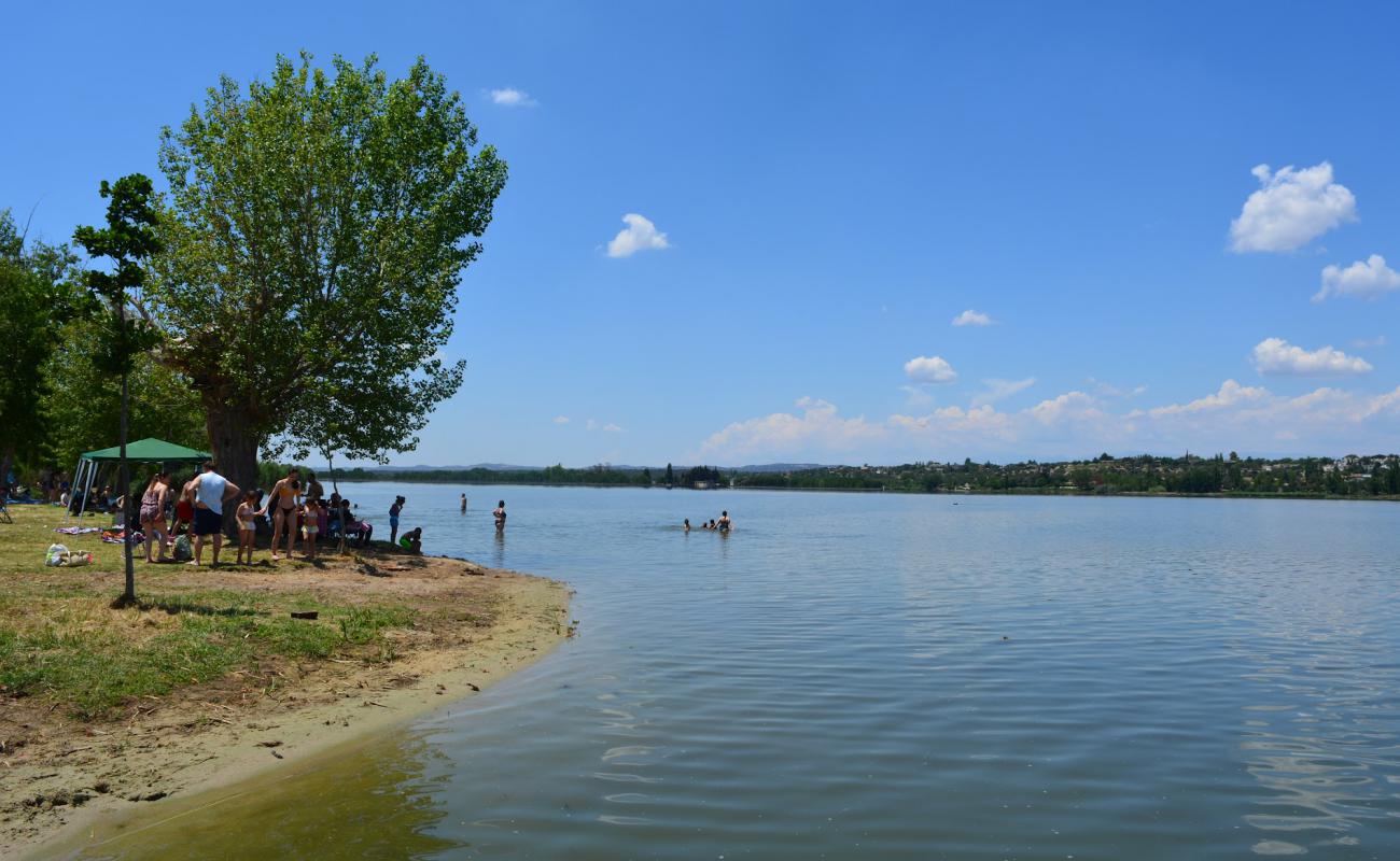 Zona de bano del embalse de Cazalegas'in fotoğrafı çim yüzey ile