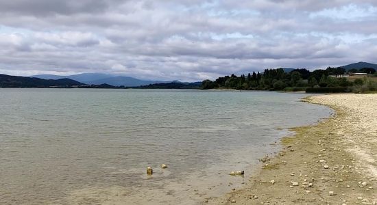 Playa naturista txoria hondartza