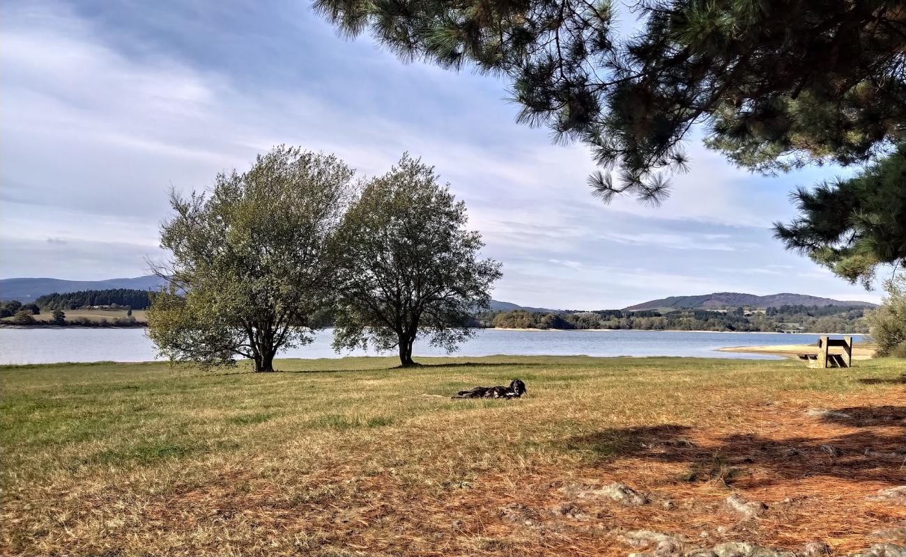 Merendero Legutio'in fotoğrafı çim yüzey ile
