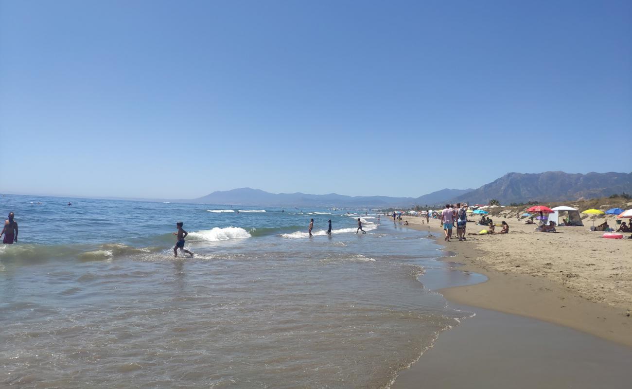 Playa De Zaragoza'in fotoğrafı parlak kum yüzey ile