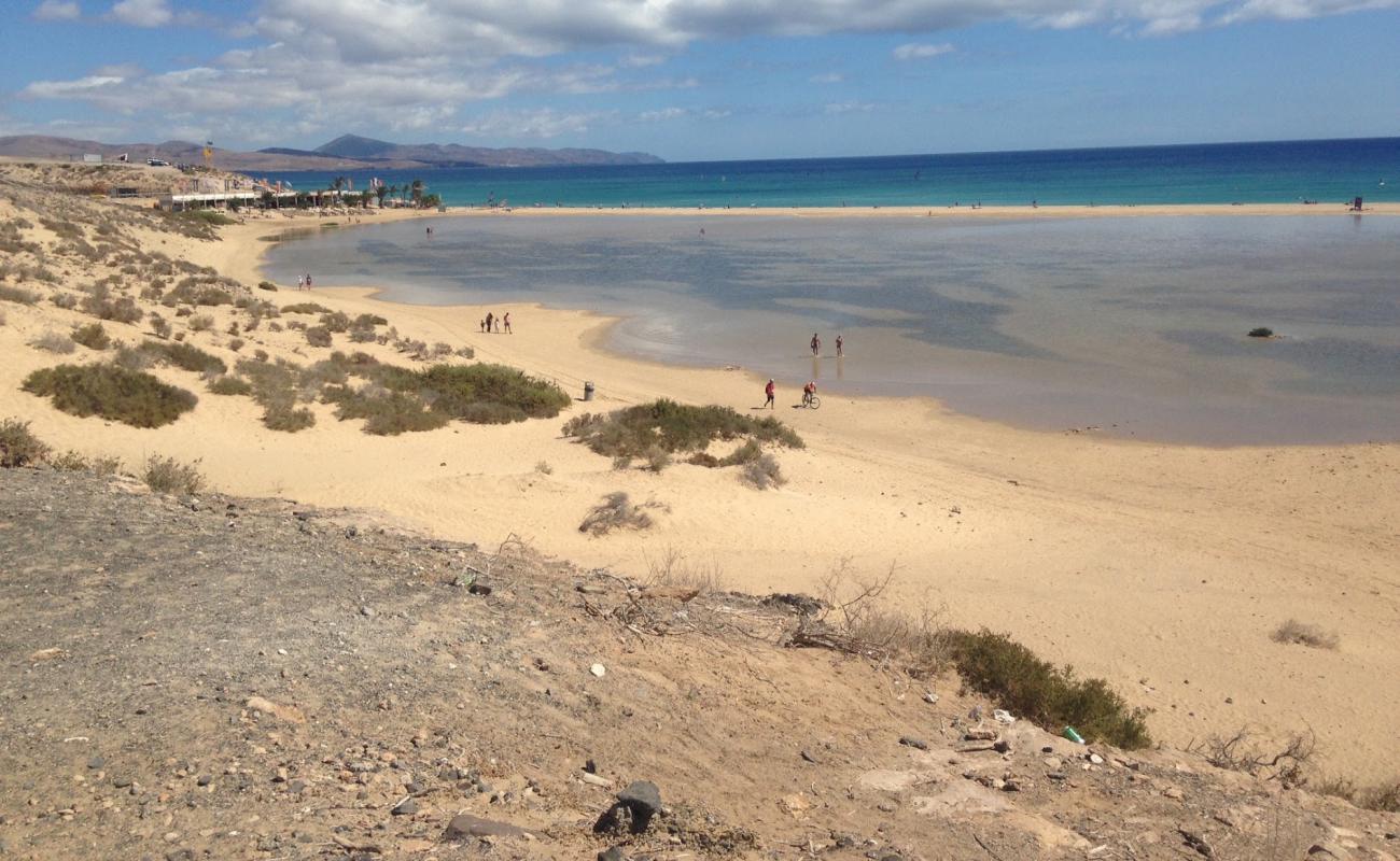 Playa Sotavento'in fotoğrafı parlak kum yüzey ile