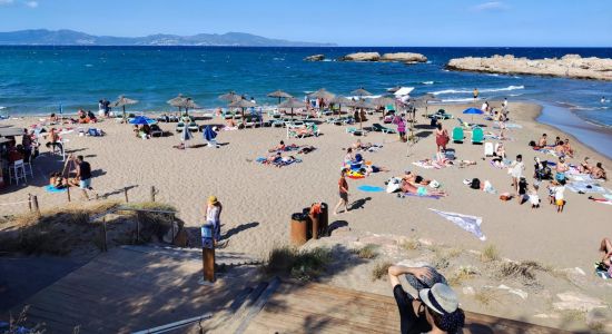 Les Muscleres Beach