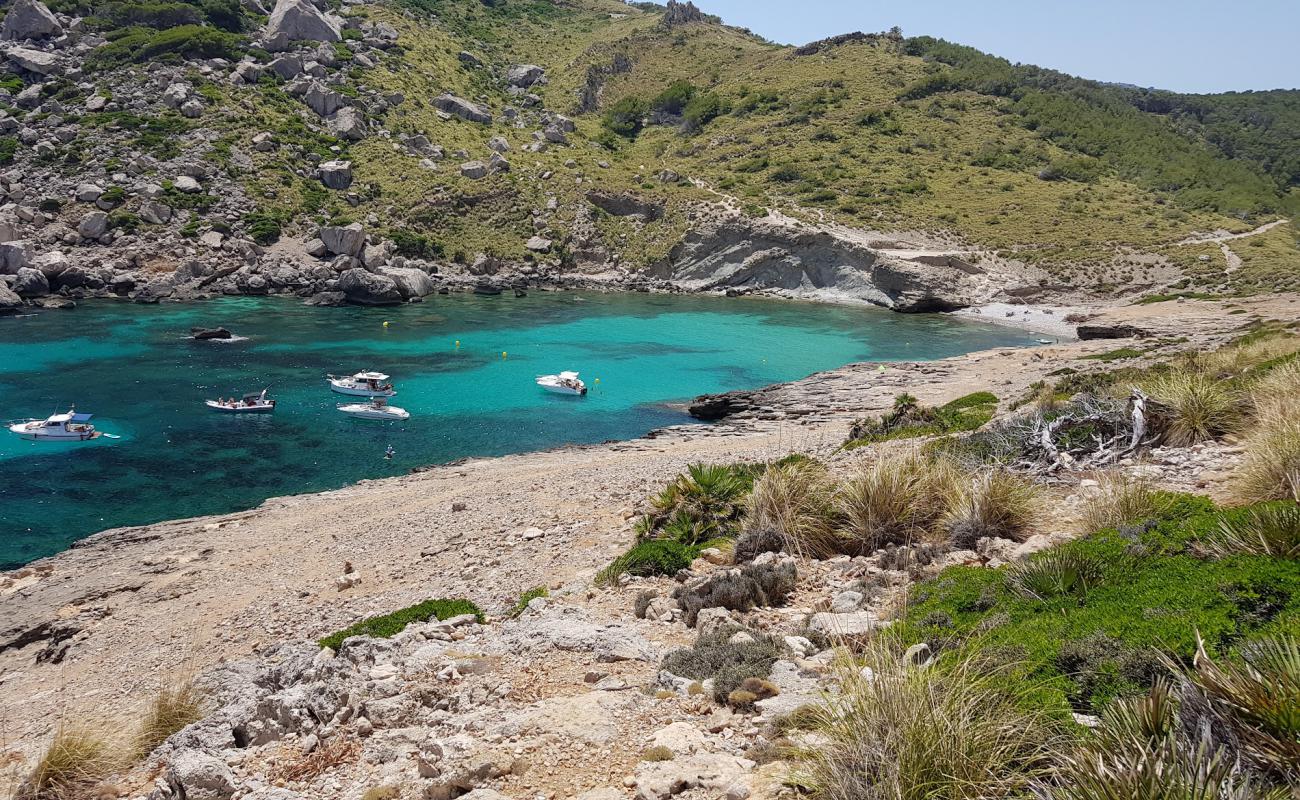 Cala Figuera'in fotoğrafı gri çakıl taşı yüzey ile