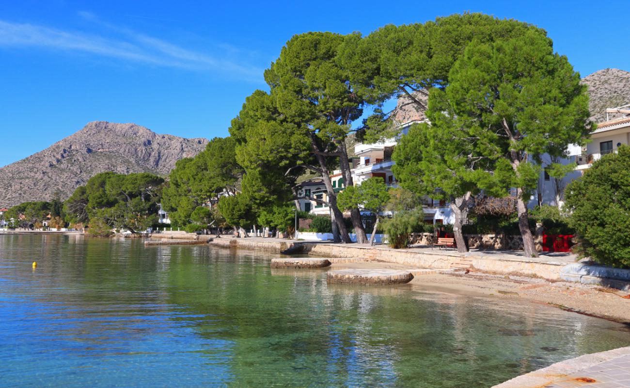 Platja d'Albercutx'in fotoğrafı parlak kum yüzey ile