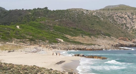 Playa S'Arenalet des Verger