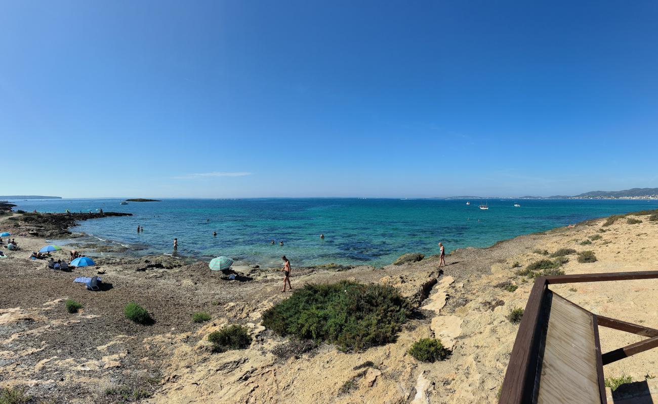 Playa de Son Caios'in fotoğrafı bej kum ve kayalar yüzey ile