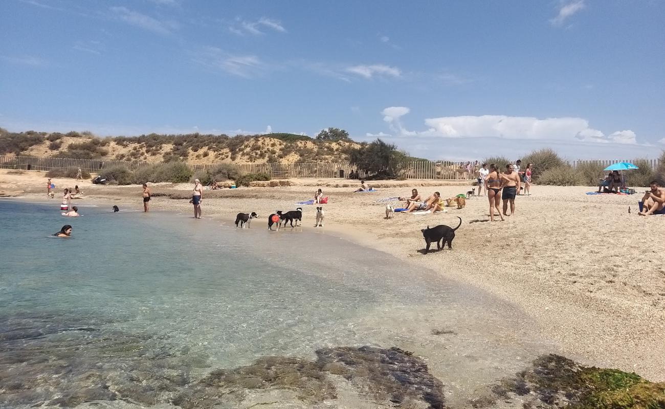 Platja Per a Cans'in fotoğrafı açık bej kum yüzey ile
