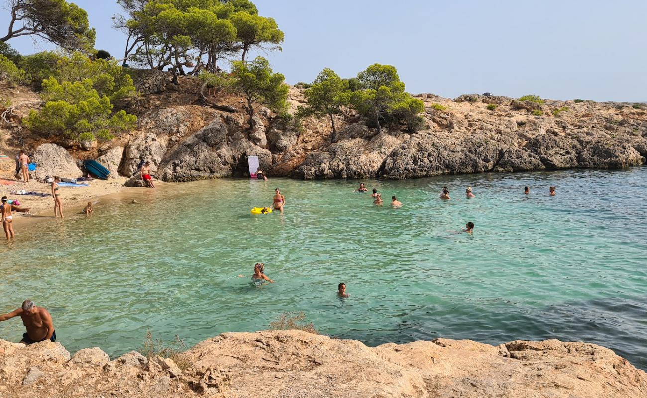 Cala Punta Negra'in fotoğrafı hafif çakıl yüzey ile