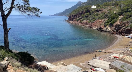 Playa Puerto des Canonge