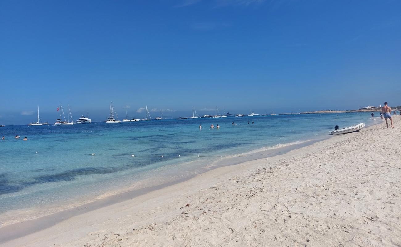 Playa Es Cavall d'En Borras'in fotoğrafı parlak kum yüzey ile