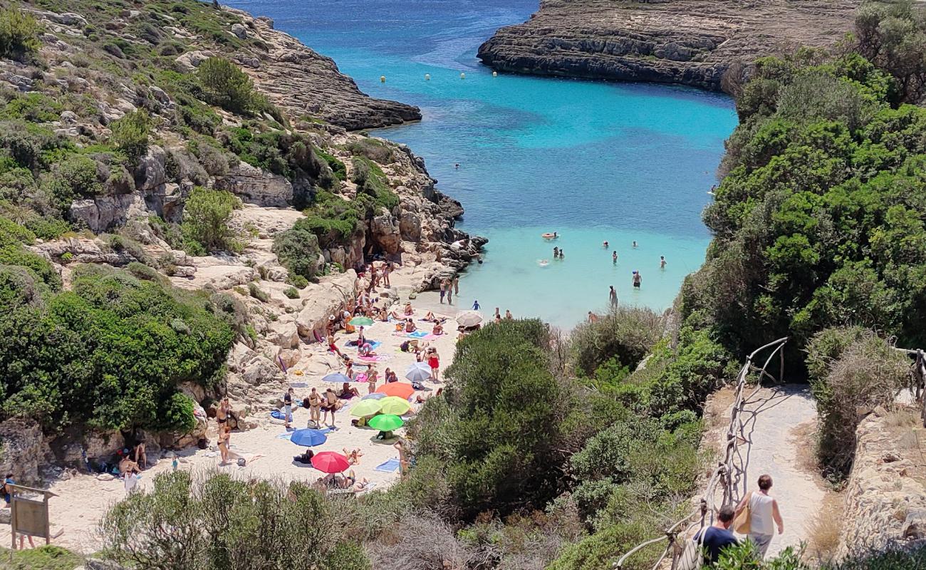 Cala Binidali'in fotoğrafı parlak kum yüzey ile