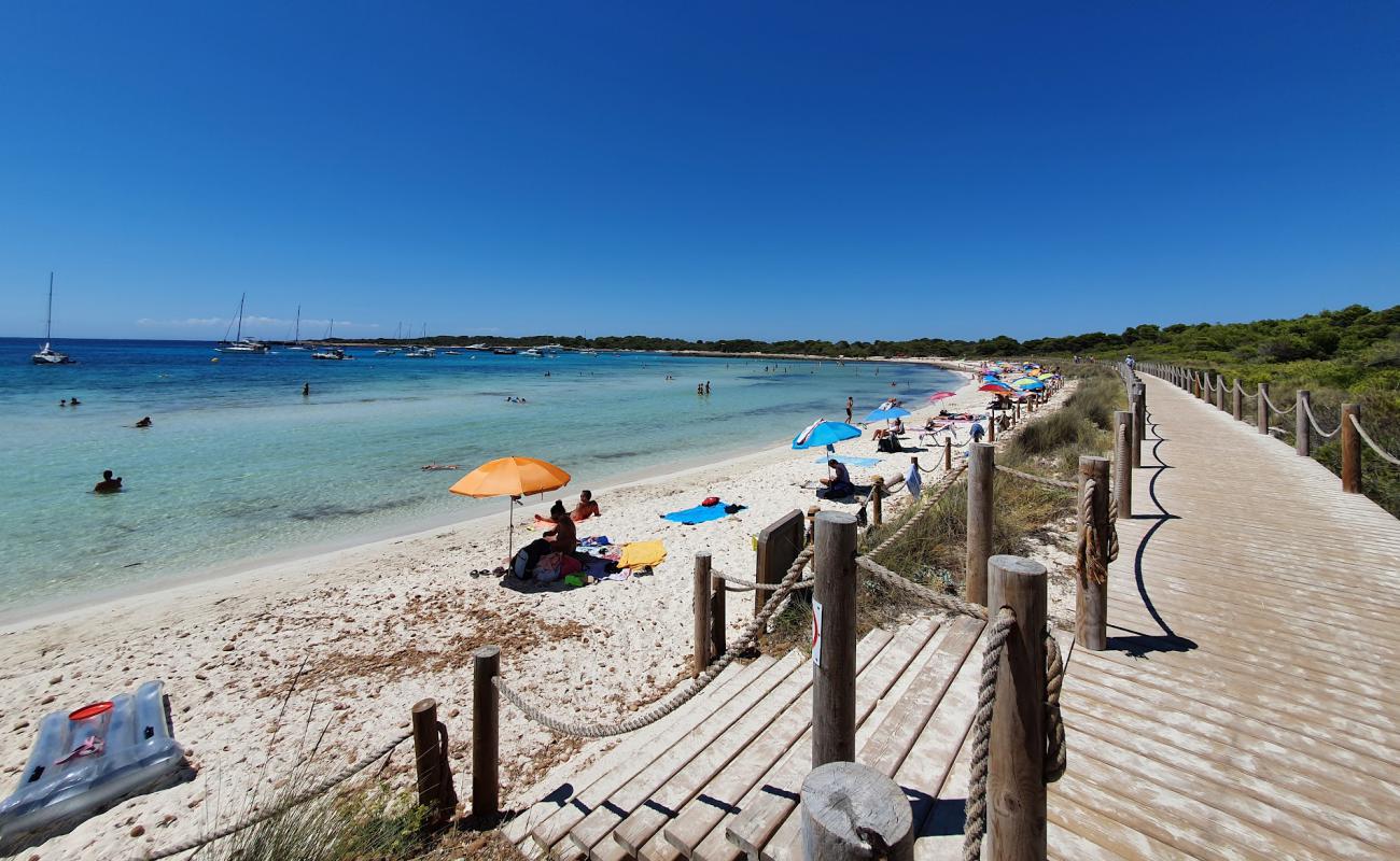 Platja de Son Saura'in fotoğrafı parlak kum yüzey ile