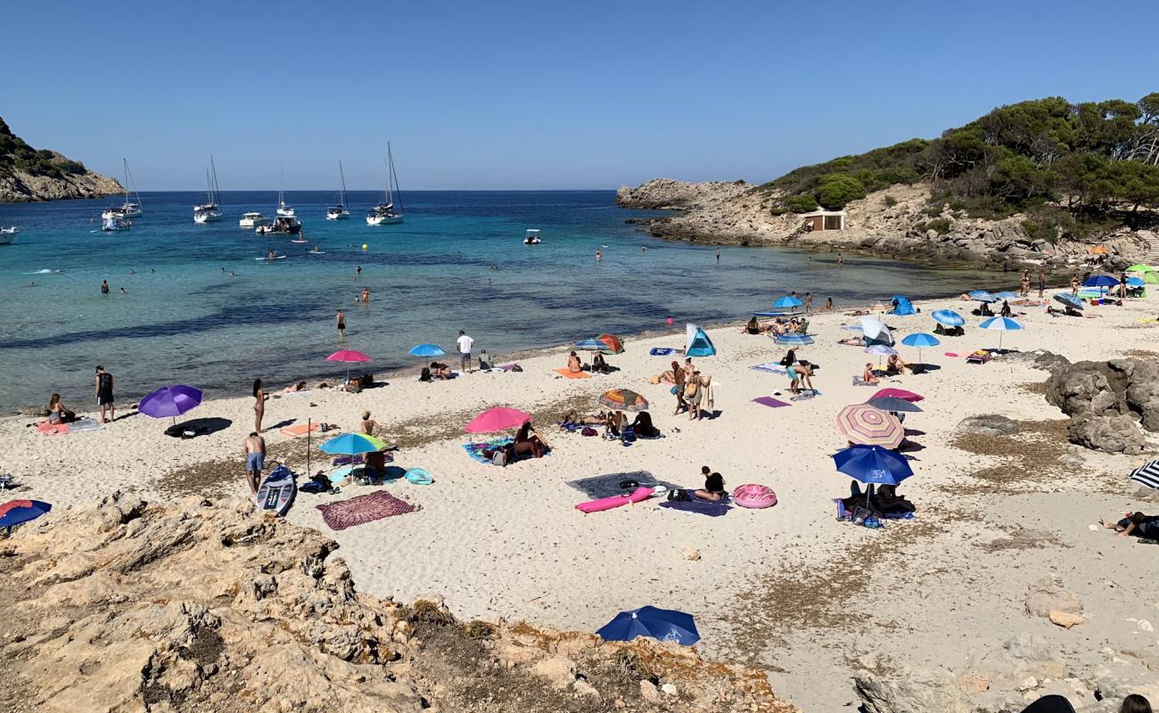 Platja de Ses Cavasses'in fotoğrafı taşlar yüzey ile