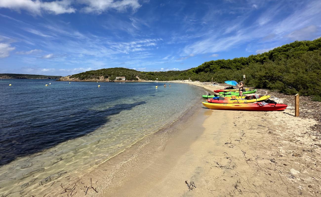 Playa de s'Illa o Tamarells'in fotoğrafı parlak kum yüzey ile