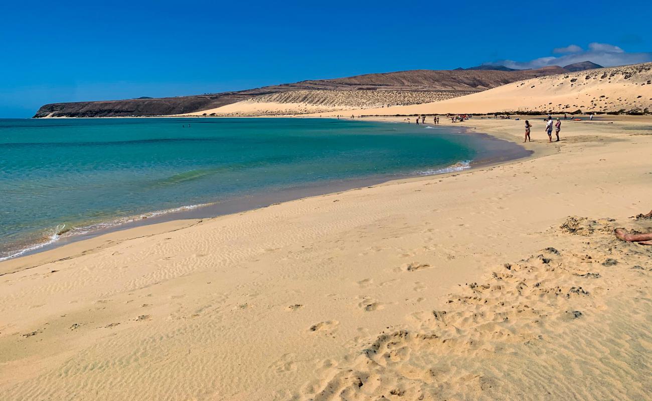 Playa Risco del Paso'in fotoğrafı parlak kum yüzey ile