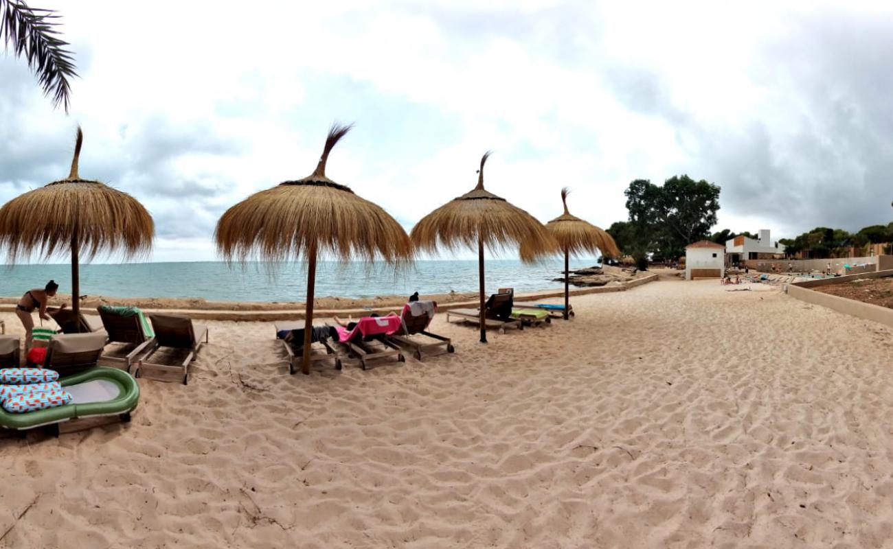 Platja Alfacs'in fotoğrafı kayalık arazi yüzey ile