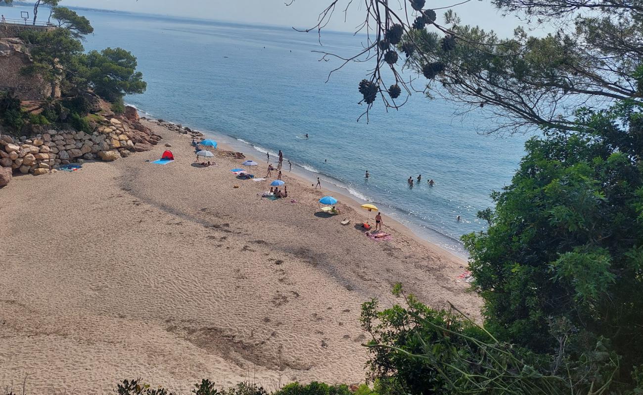 Cala Dels Vienesos'in fotoğrafı parlak kum yüzey ile