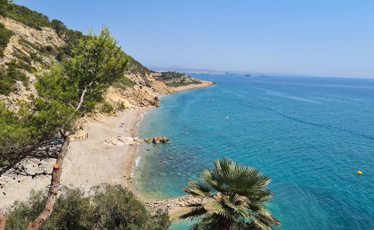 Cala el Reguerot'in fotoğrafı kayalık arazi yüzey ile
