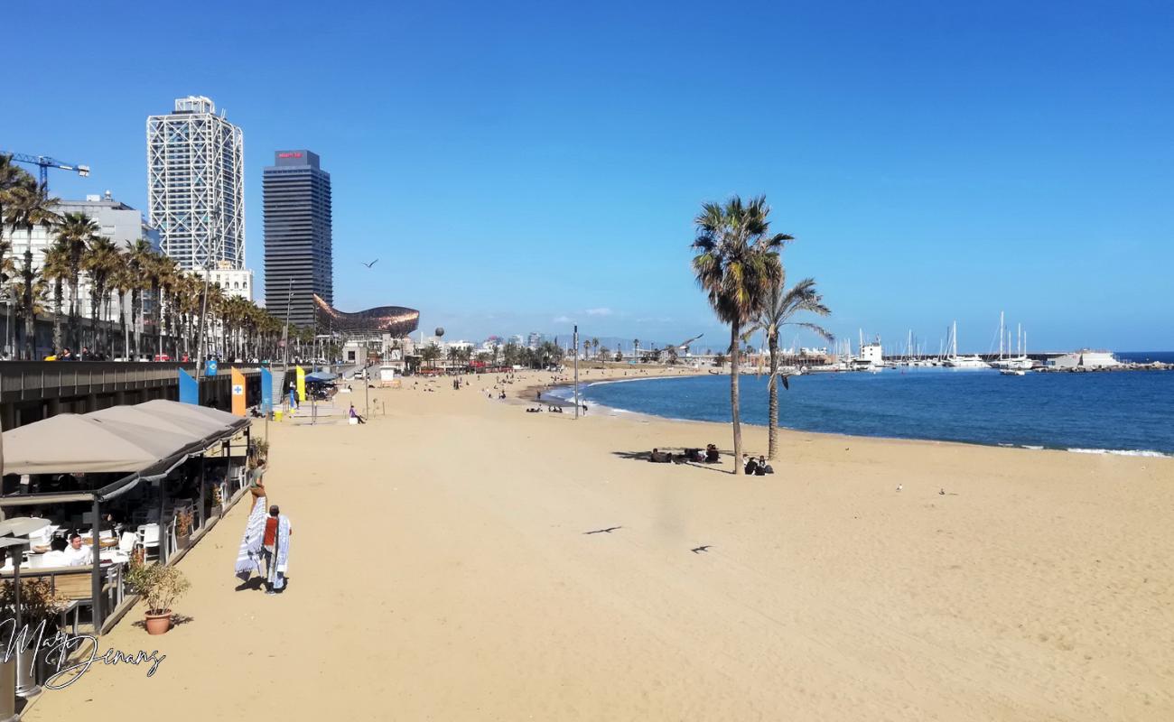 Platja del Somorrostro'in fotoğrafı açık bej kum yüzey ile