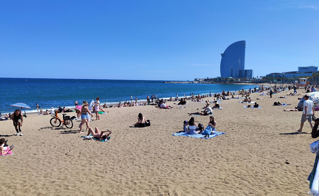 San Sebastian Beach'in fotoğrafı açık bej kum yüzey ile