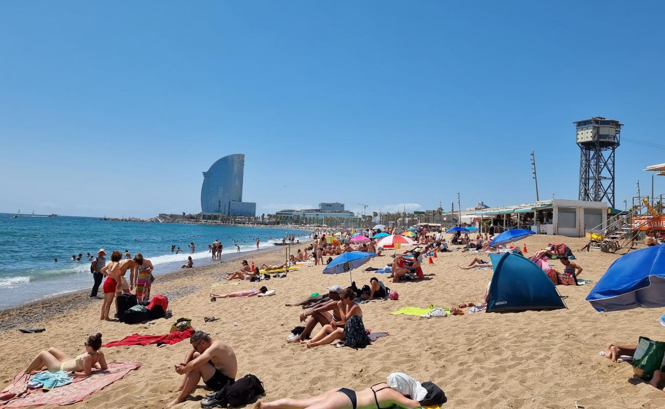 Platja de Sant Miquel'in fotoğrafı açık bej kum yüzey ile