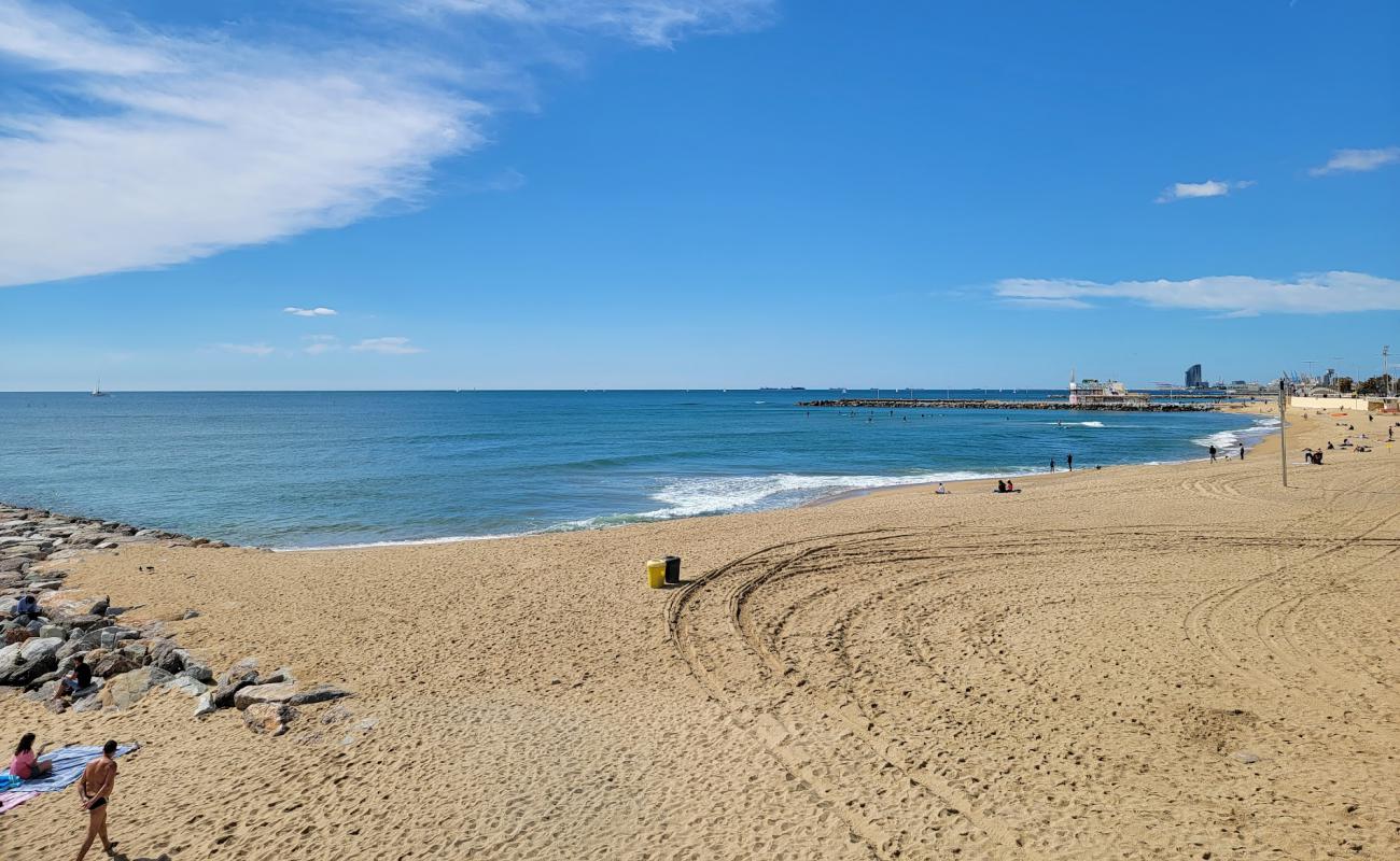 Llevant Beach'in fotoğrafı açık bej kum yüzey ile