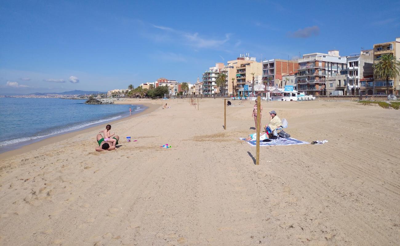 Bellamar Beach'in fotoğrafı açık bej kum yüzey ile