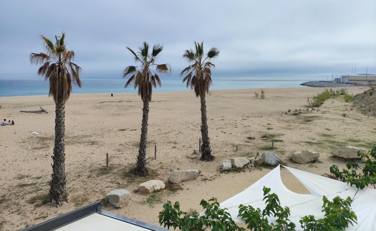 Platja del Cavallo'in fotoğrafı açık bej kum yüzey ile