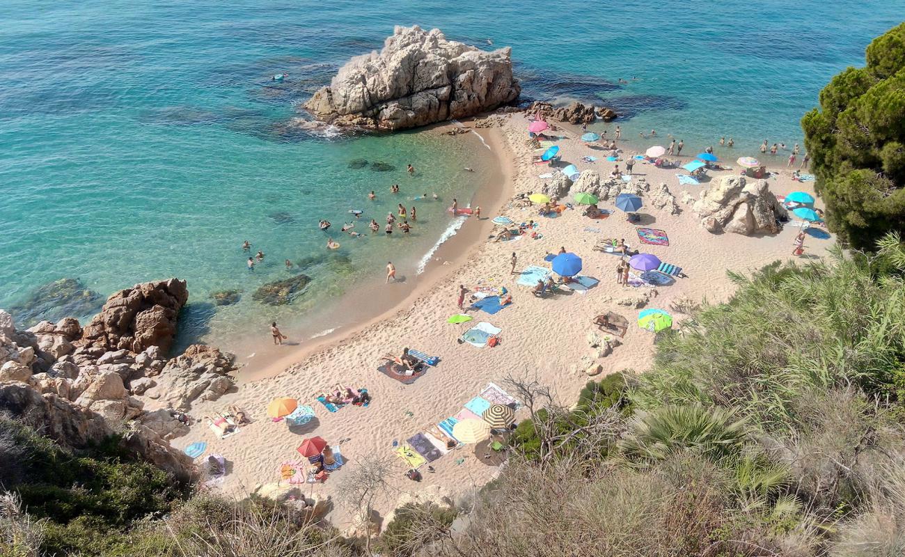 Cala Roca Grossa'in fotoğrafı açık bej kum yüzey ile