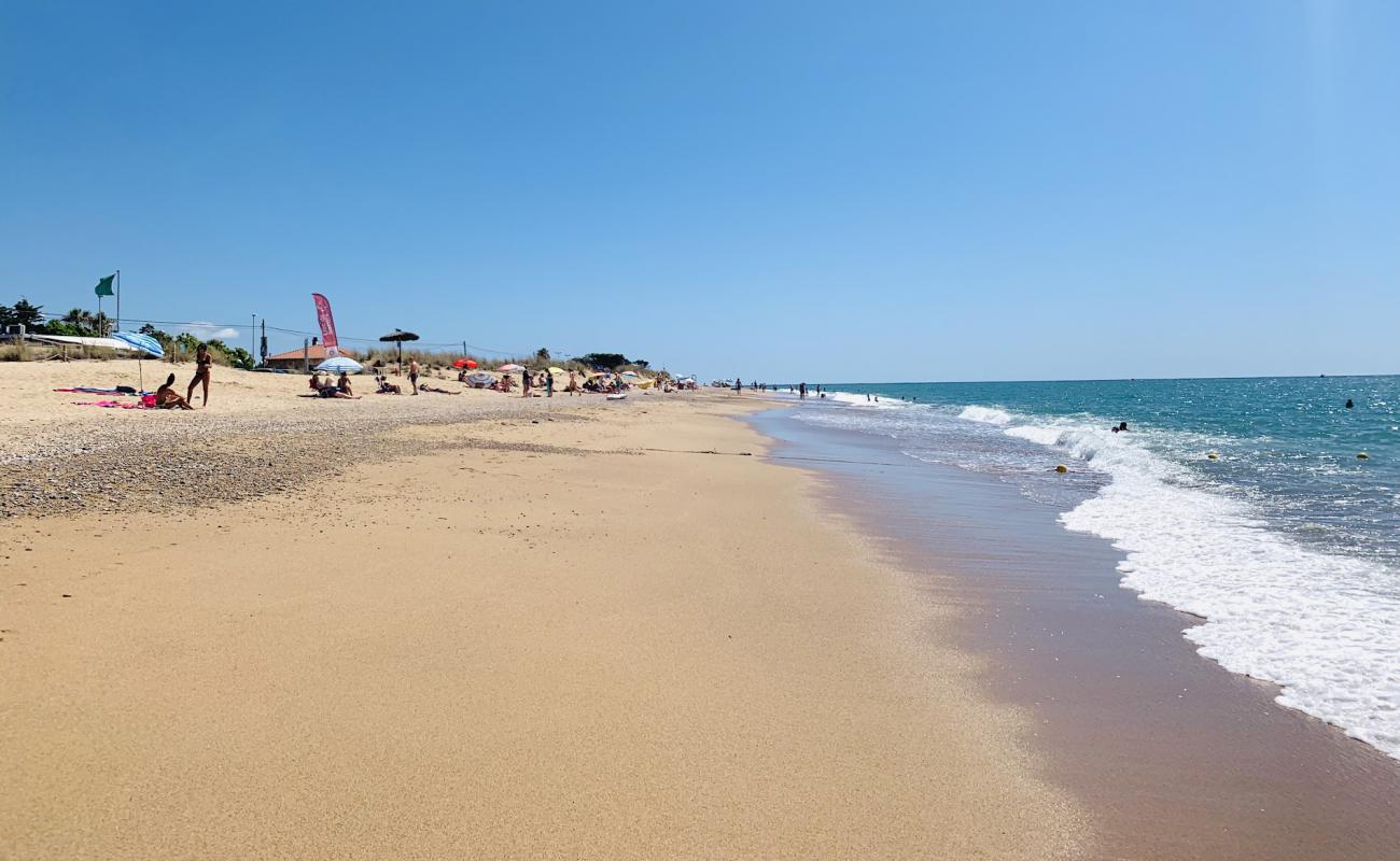 Platja De La Punta De La Tordera'in fotoğrafı açık bej kum yüzey ile