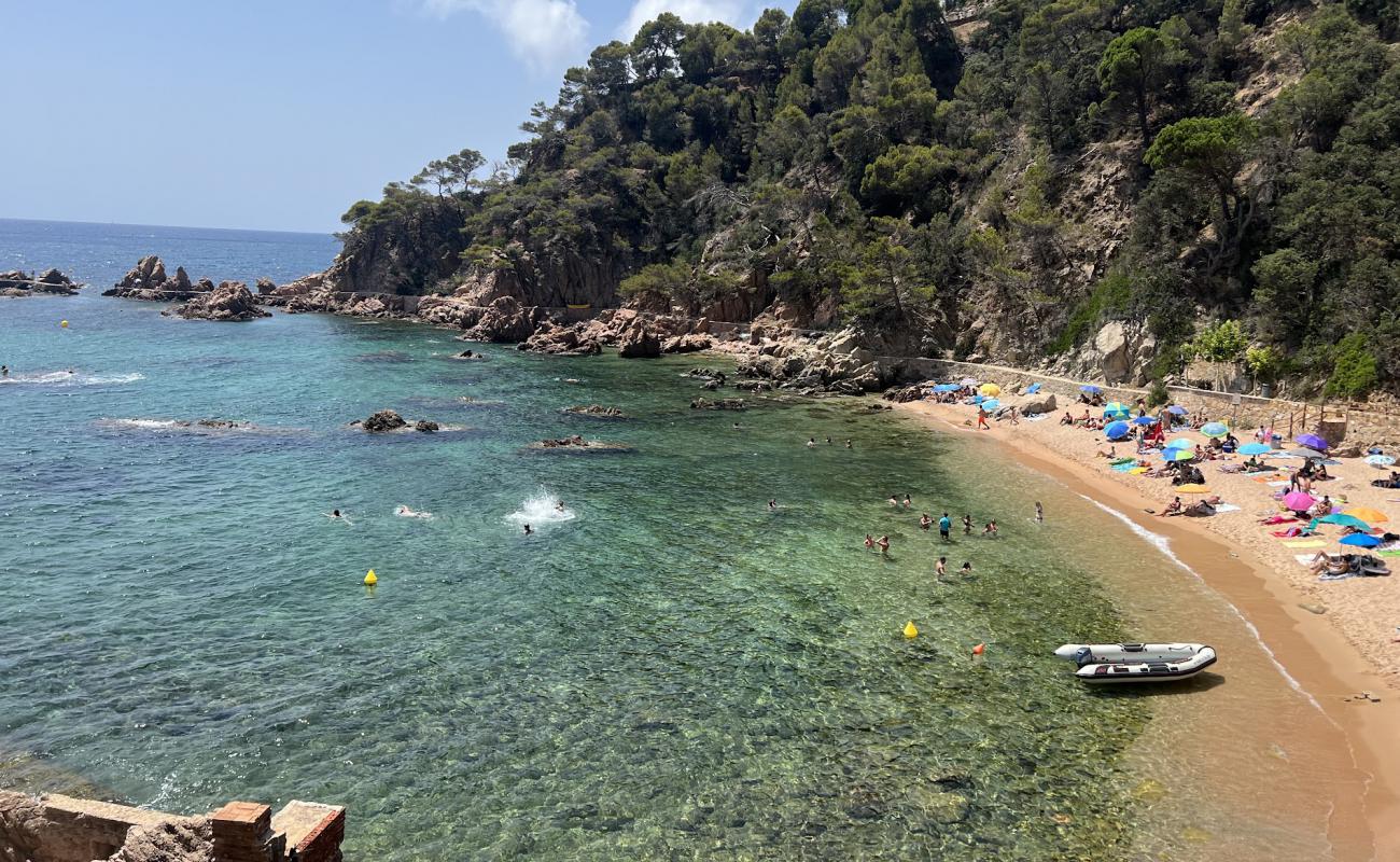 Rosamar Cala'in fotoğrafı açık bej kum yüzey ile