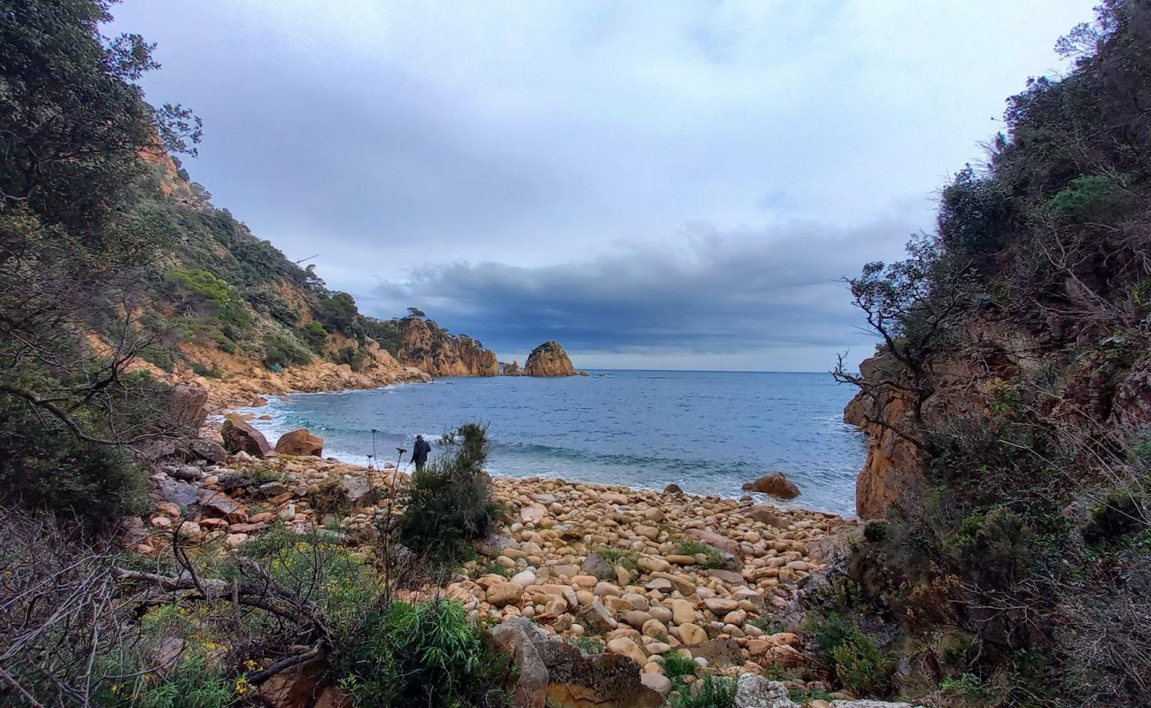 Cala d'Urgell Beach'in fotoğrafı taşlar yüzey ile