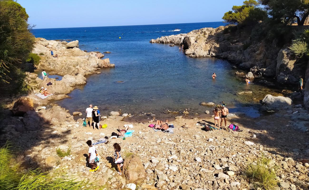 Cala Pedrosa'in fotoğrafı kayalık arazi yüzey ile
