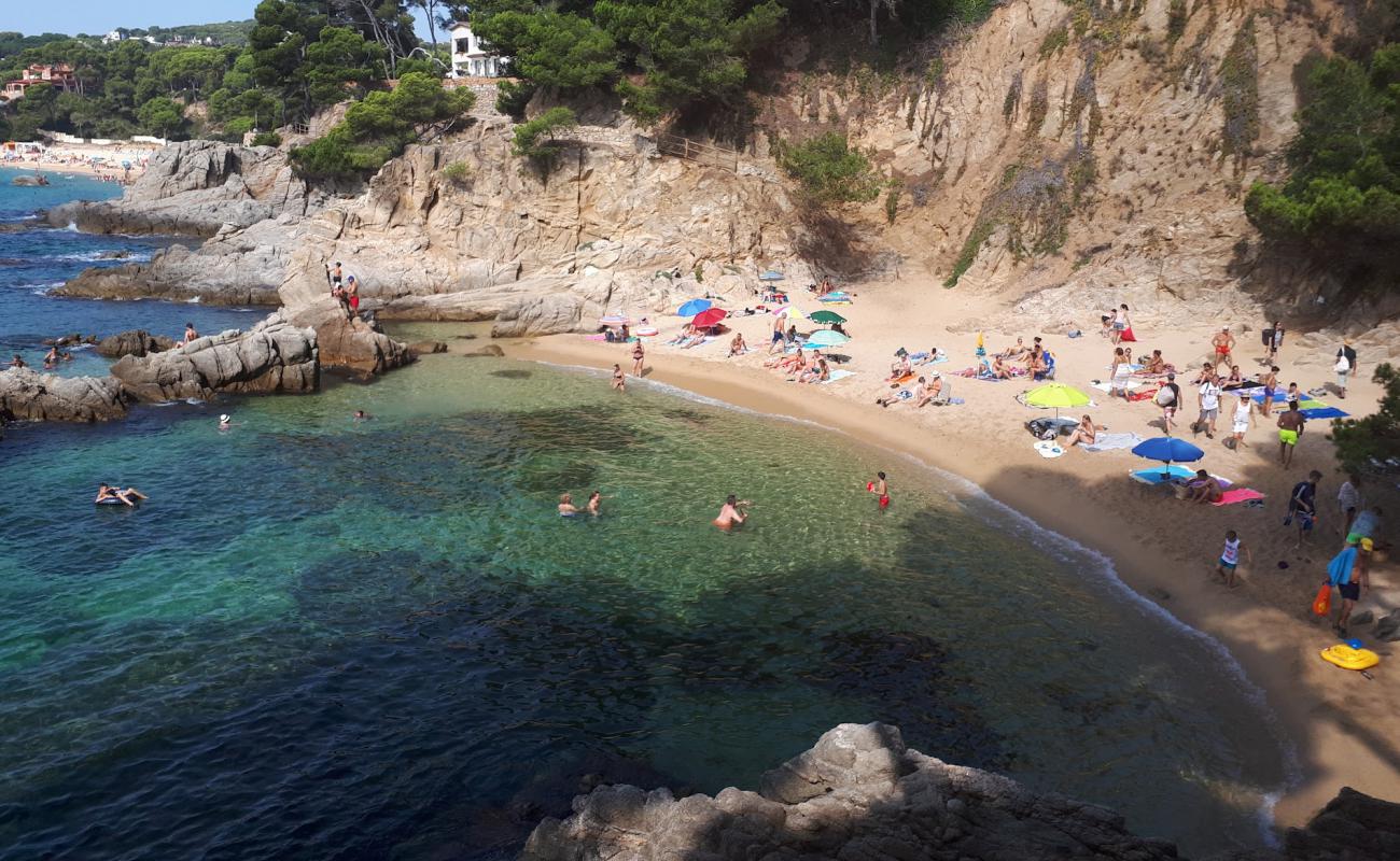 Cala Del Paller'in fotoğrafı parlak kum yüzey ile