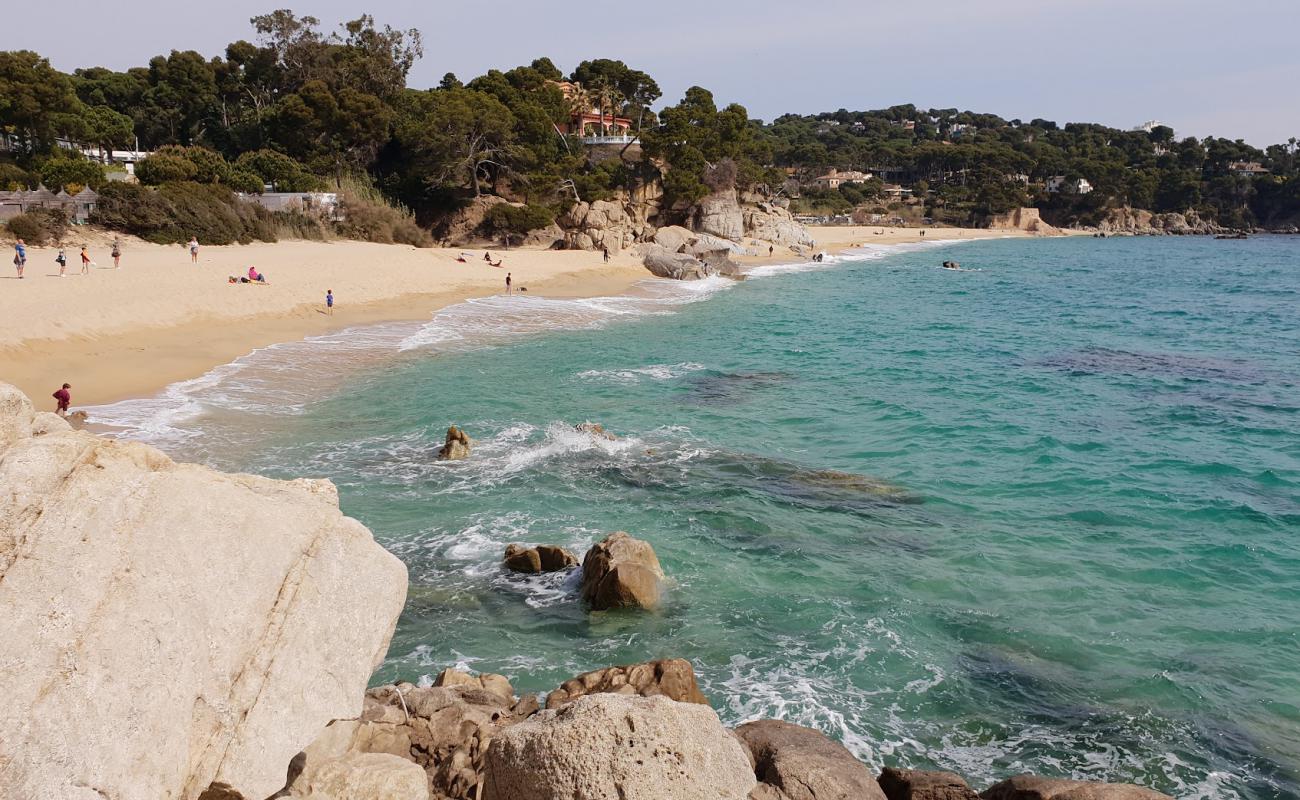 Platja Can Cristus'in fotoğrafı açık bej kum yüzey ile