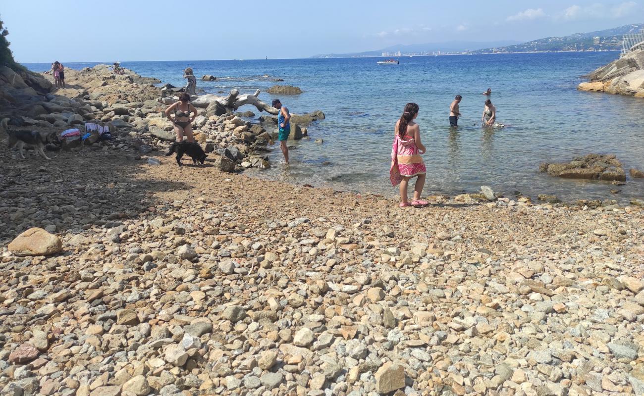 Playa Pere Grau'in fotoğrafı kayalık arazi yüzey ile