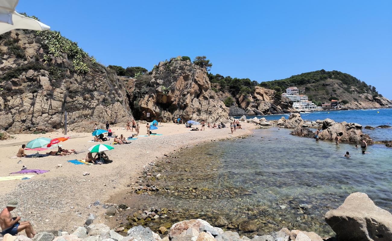 Cala del Morro del Vedell'in fotoğrafı bej kum ve kayalar yüzey ile