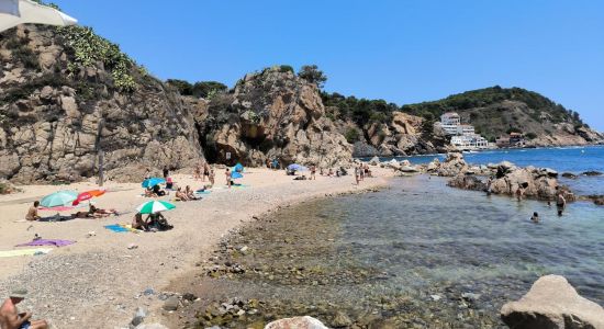 Cala del Morro del Vedell