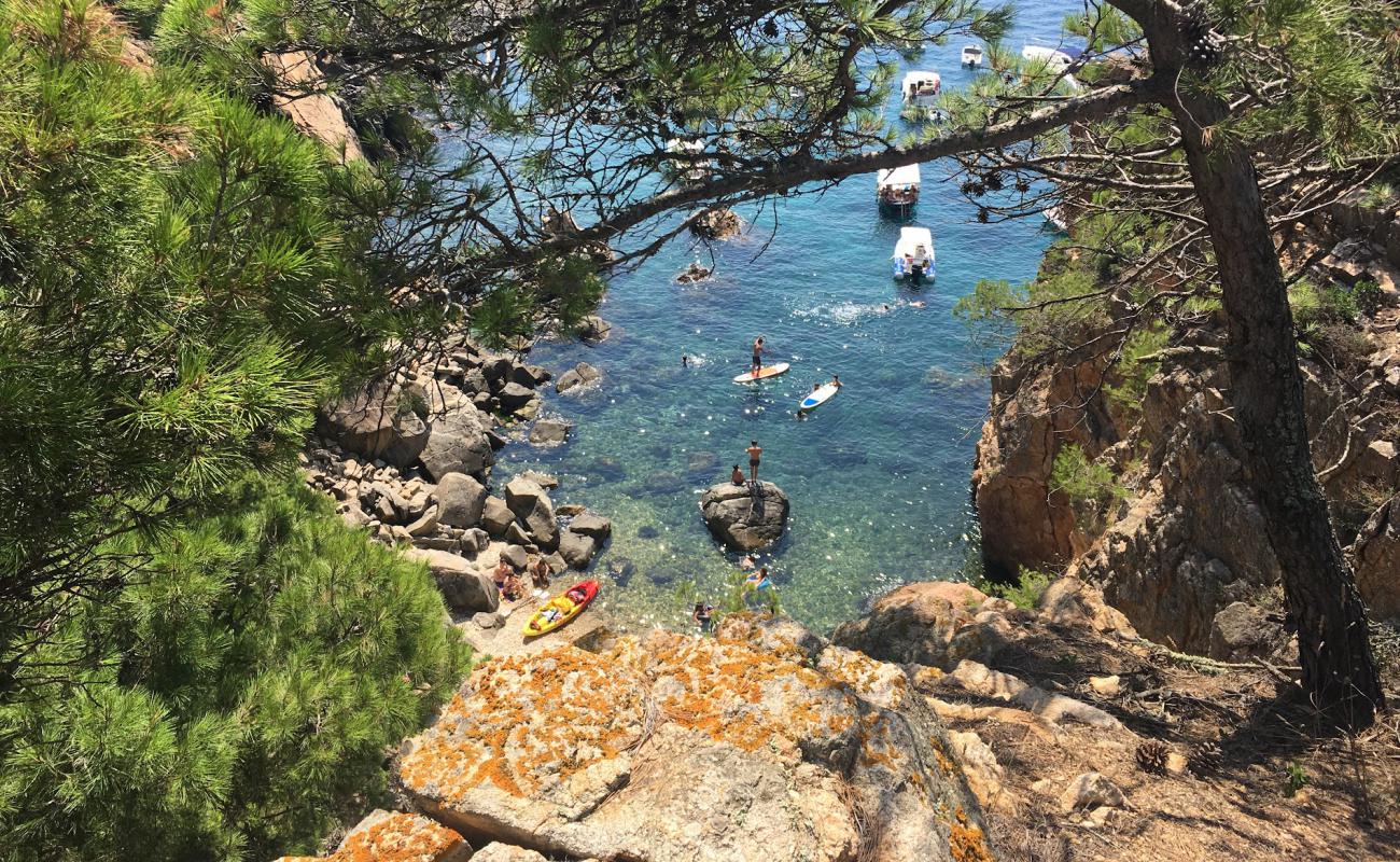 Platja de la Foradada'in fotoğrafı kayalık arazi yüzey ile