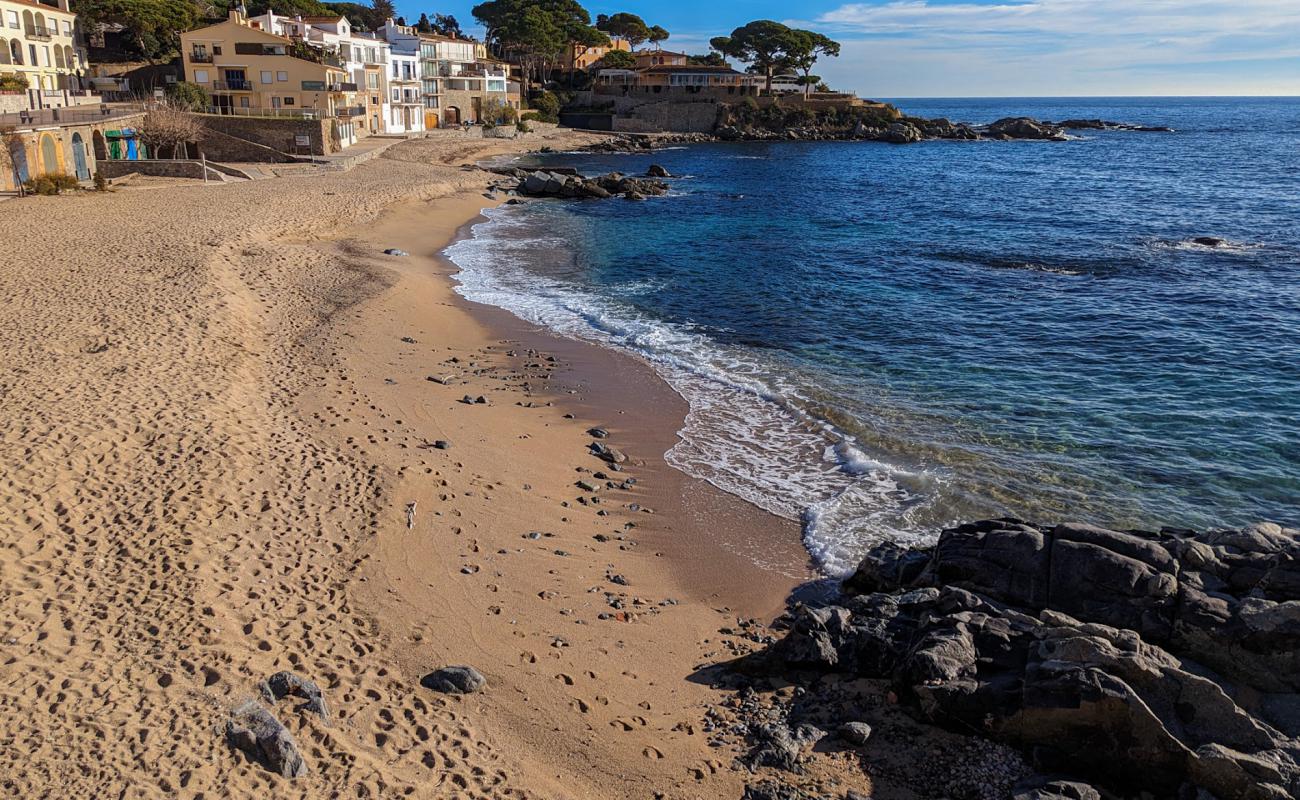 Platja del Canadell'in fotoğrafı açık bej kum yüzey ile