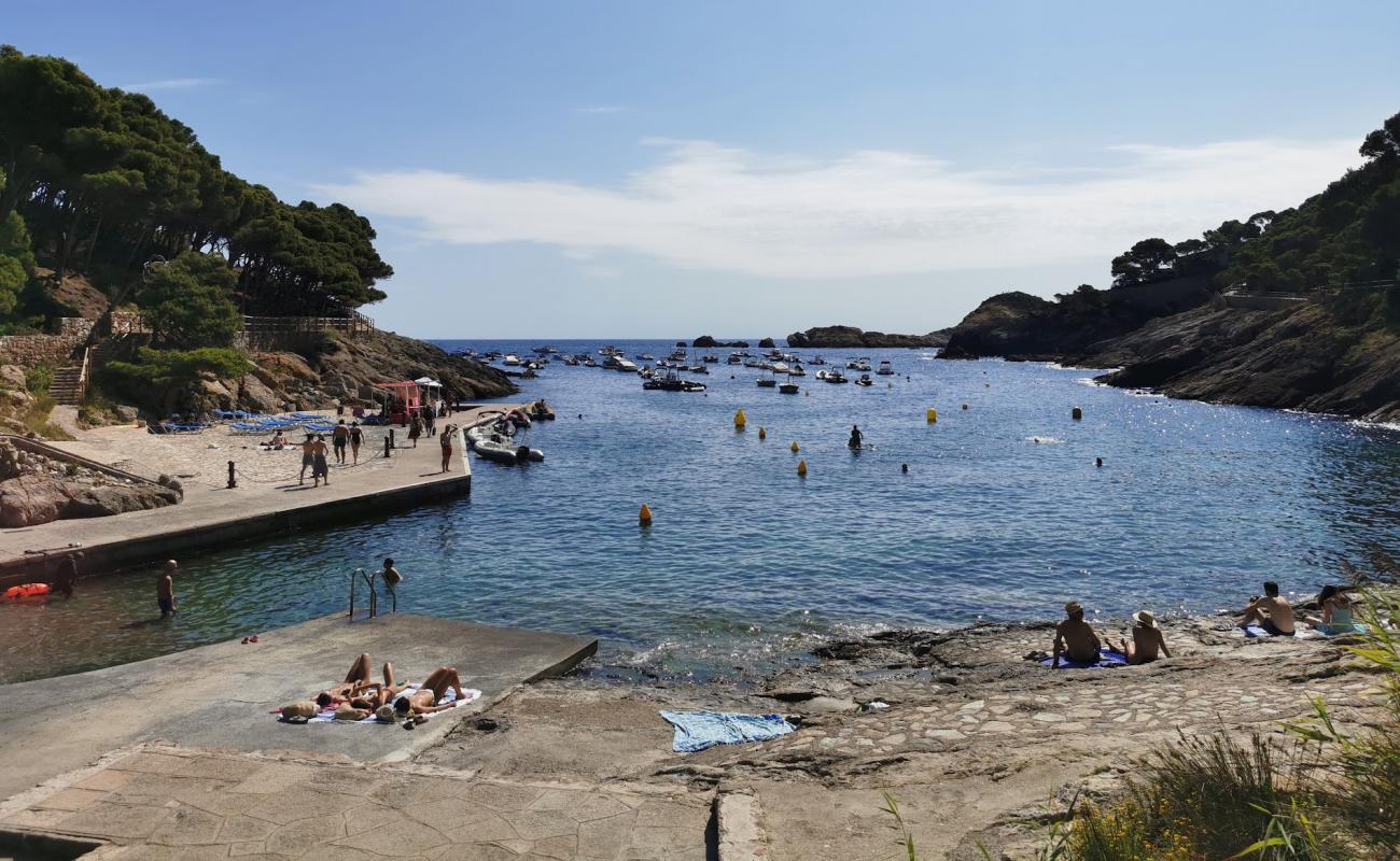 Cala Aiguafreda'in fotoğrafı kayalık arazi yüzey ile