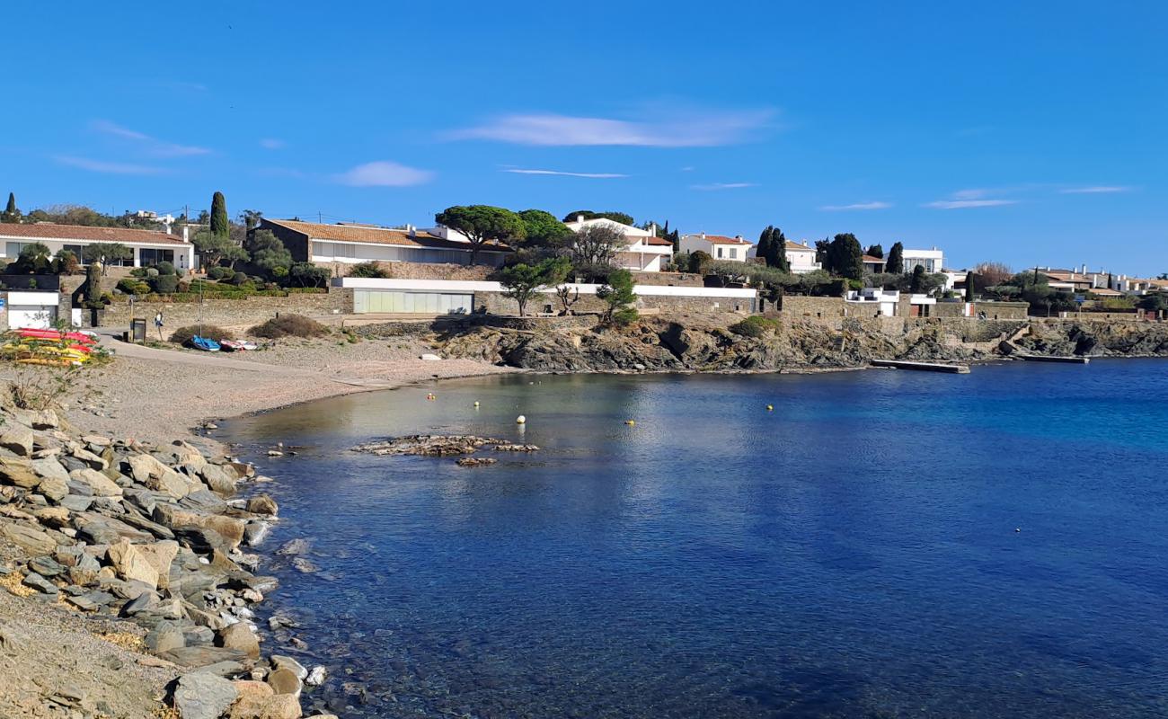 Platja Ses Oliveres'in fotoğrafı gri çakıl taşı yüzey ile